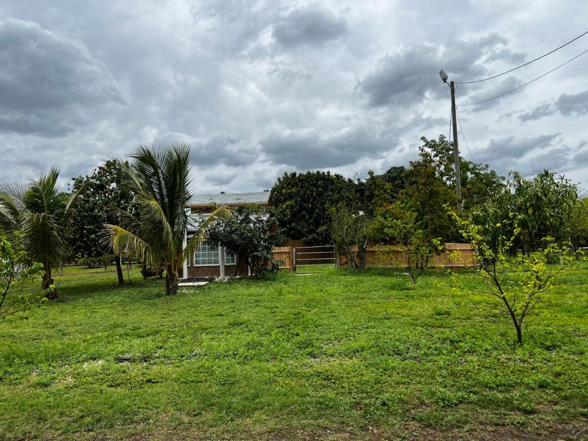 Maria'S Tiny Barn Konuk evi Homestead Dış mekan fotoğraf